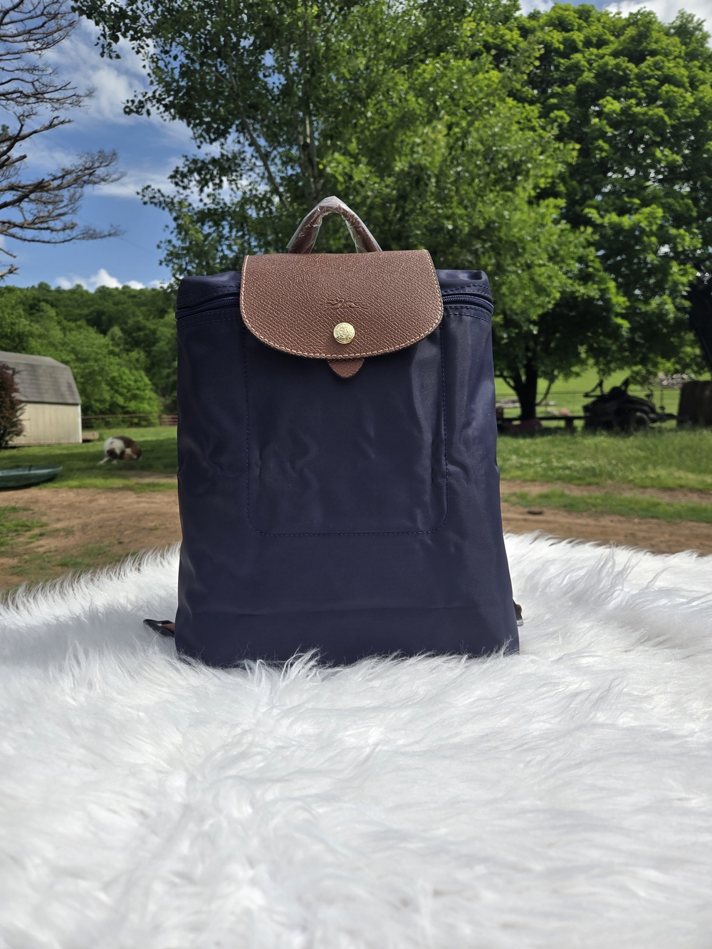 Longchamp Backpack NAVY BLUE